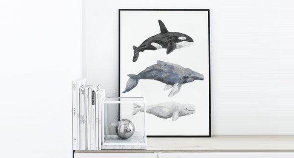 The 3 Whales PRINT