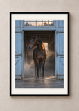 Blue Stable Morning, black framed 50 x 70 cm presentation with white mat