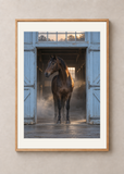 Blue Stable Morning, oak framed 50 x 70 cm presentation with white mat