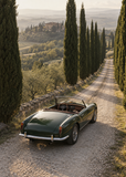 Cypress Roadster, artwork-only fine art print
