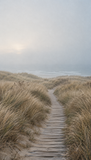 Dune Passage No. 01 minimalist coastal art print