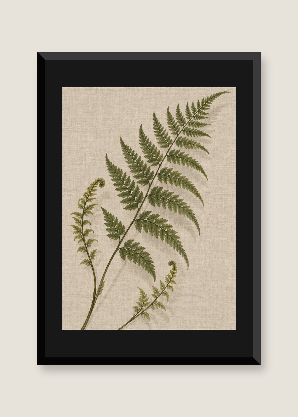 Fern on Linen, Black mat with black frame
