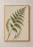 Fern on Linen art print in a natural wood 50 x 70 cm frame