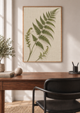 Fern on Linen framed art print in a modern interior