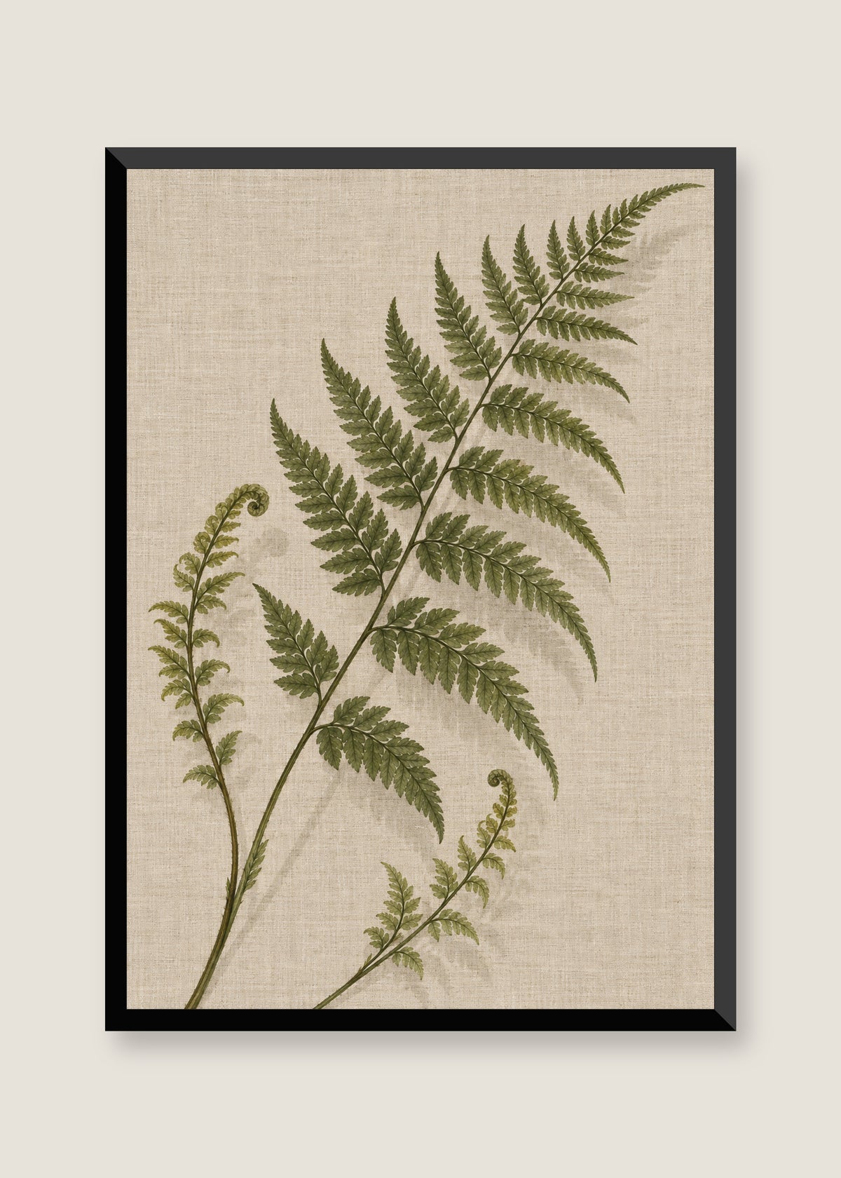 Fern on Linen, No mat with black frame