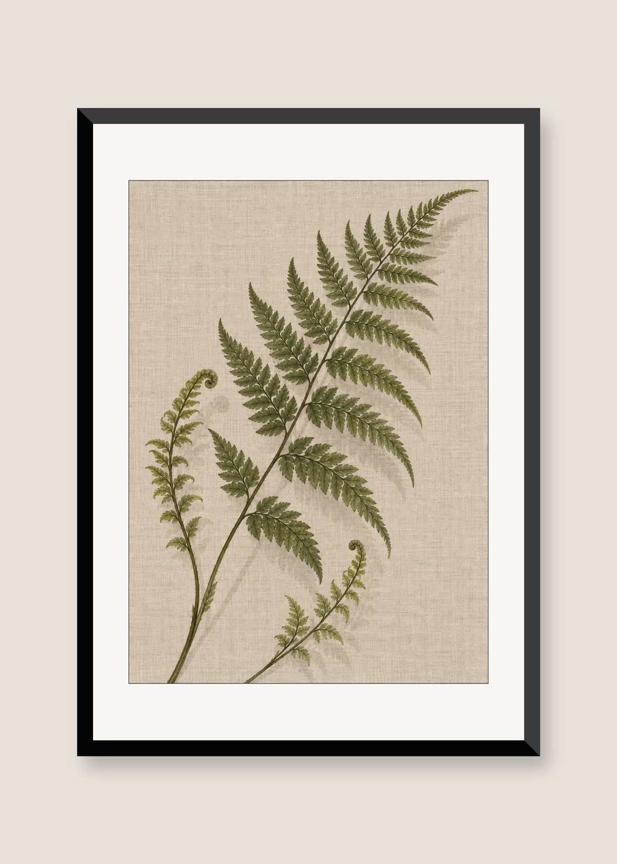 Fern on Linen, White mat with black frame