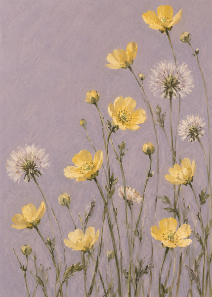 Field Notes in Butter, artwork only