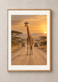 Giraffe Crossing, oak framed 50 x 70 cm presentation with white mat