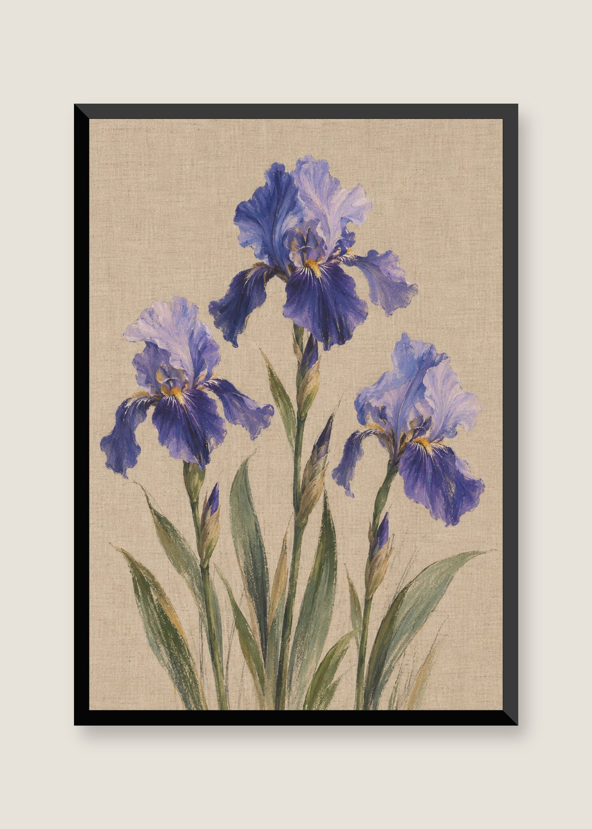 Iris on Linen, No mat with black frame