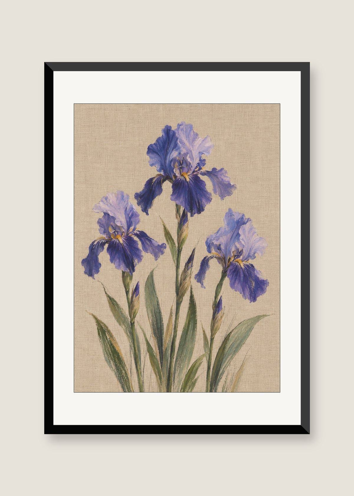 Iris on Linen, White mat with black frame