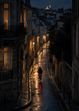 Night Bicycle, artwork-only fine art print