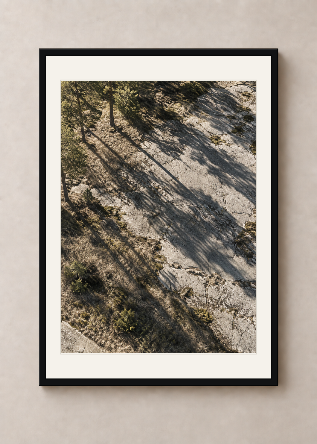 Pine Shadows No. 01, black Classic frame with Snow White mount, shown at 50 x 70 cm