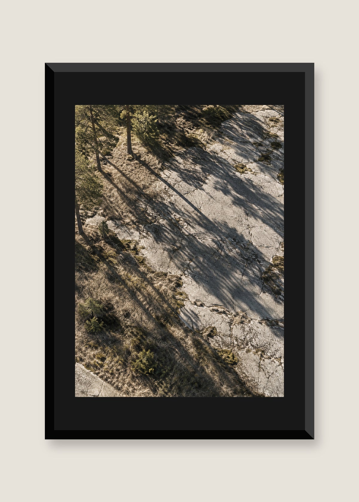 Pine Shadows No. 01, Black mat with black frame
