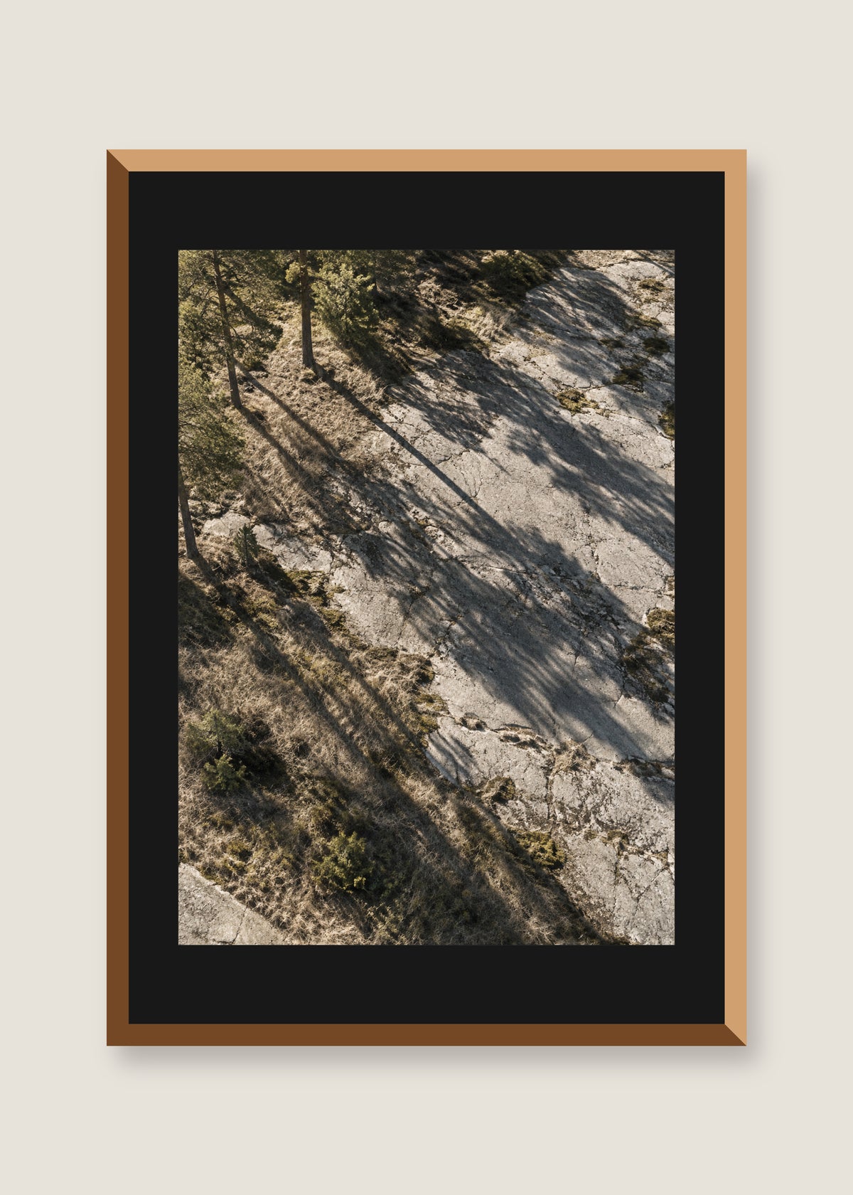Pine Shadows No. 01, Black mat with natural oak frame