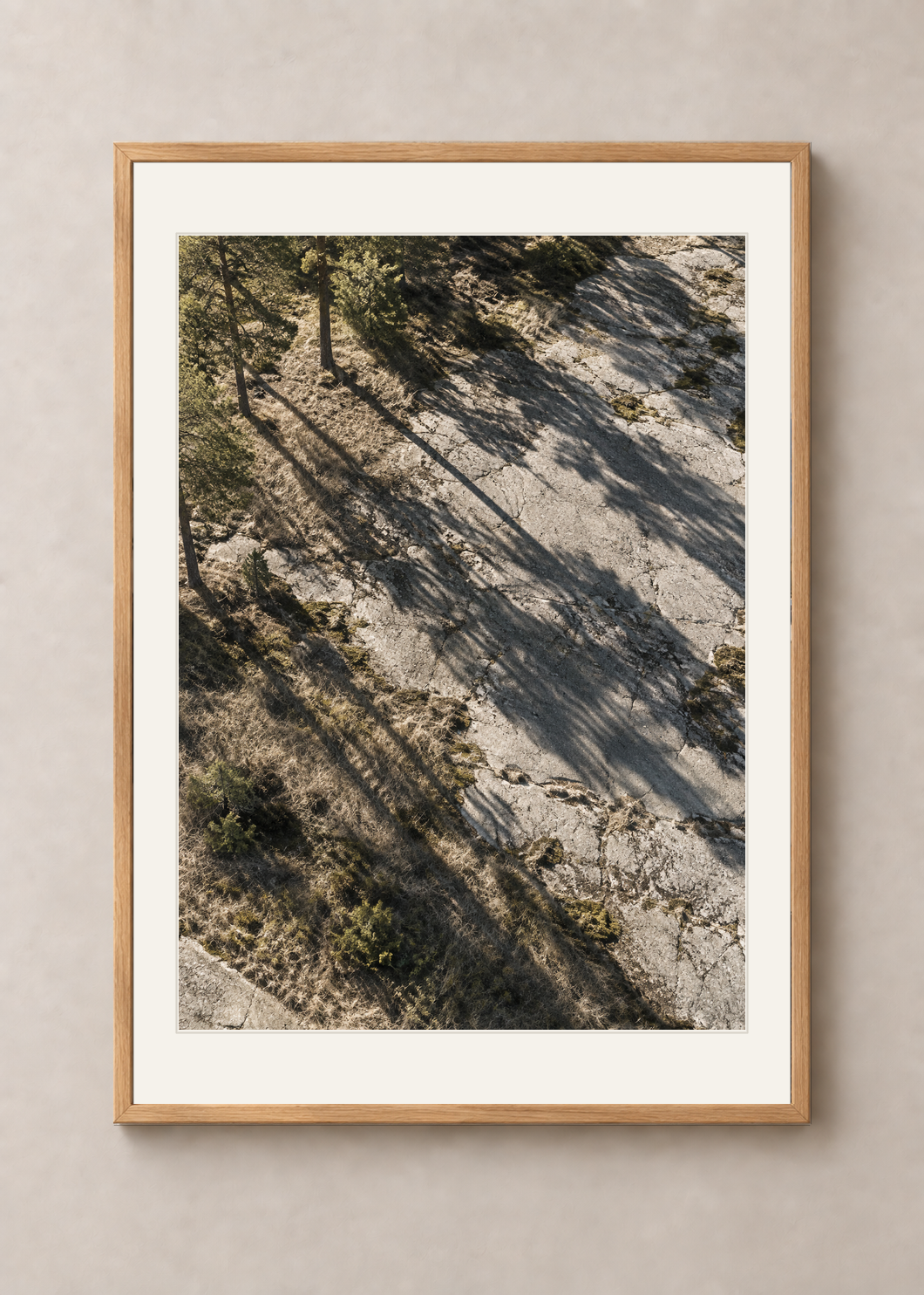 Pine Shadows No. 01, natural oak Classic frame with Snow White mount, shown at 50 x 70 cm