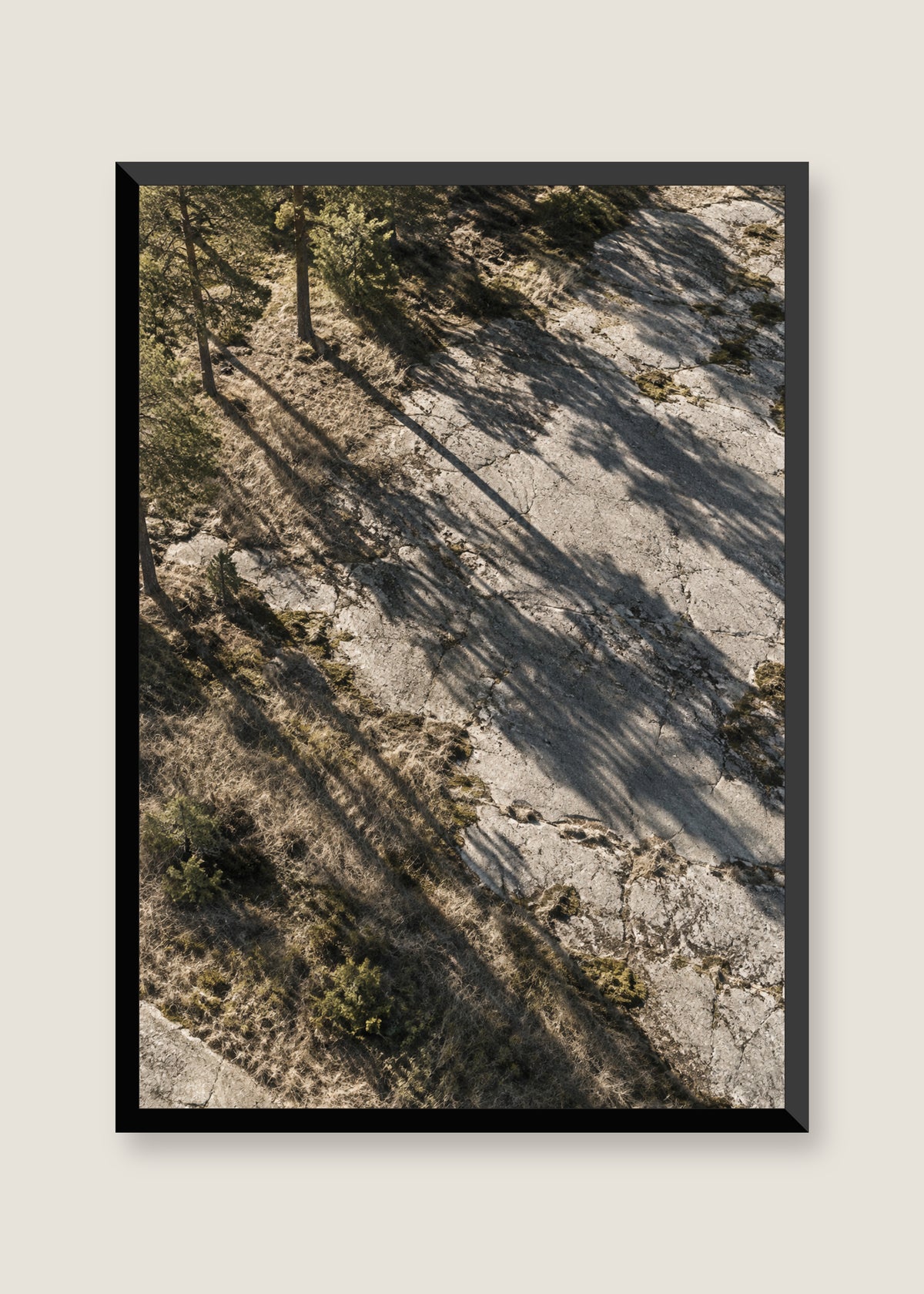 Pine Shadows No. 01, No mat with black frame