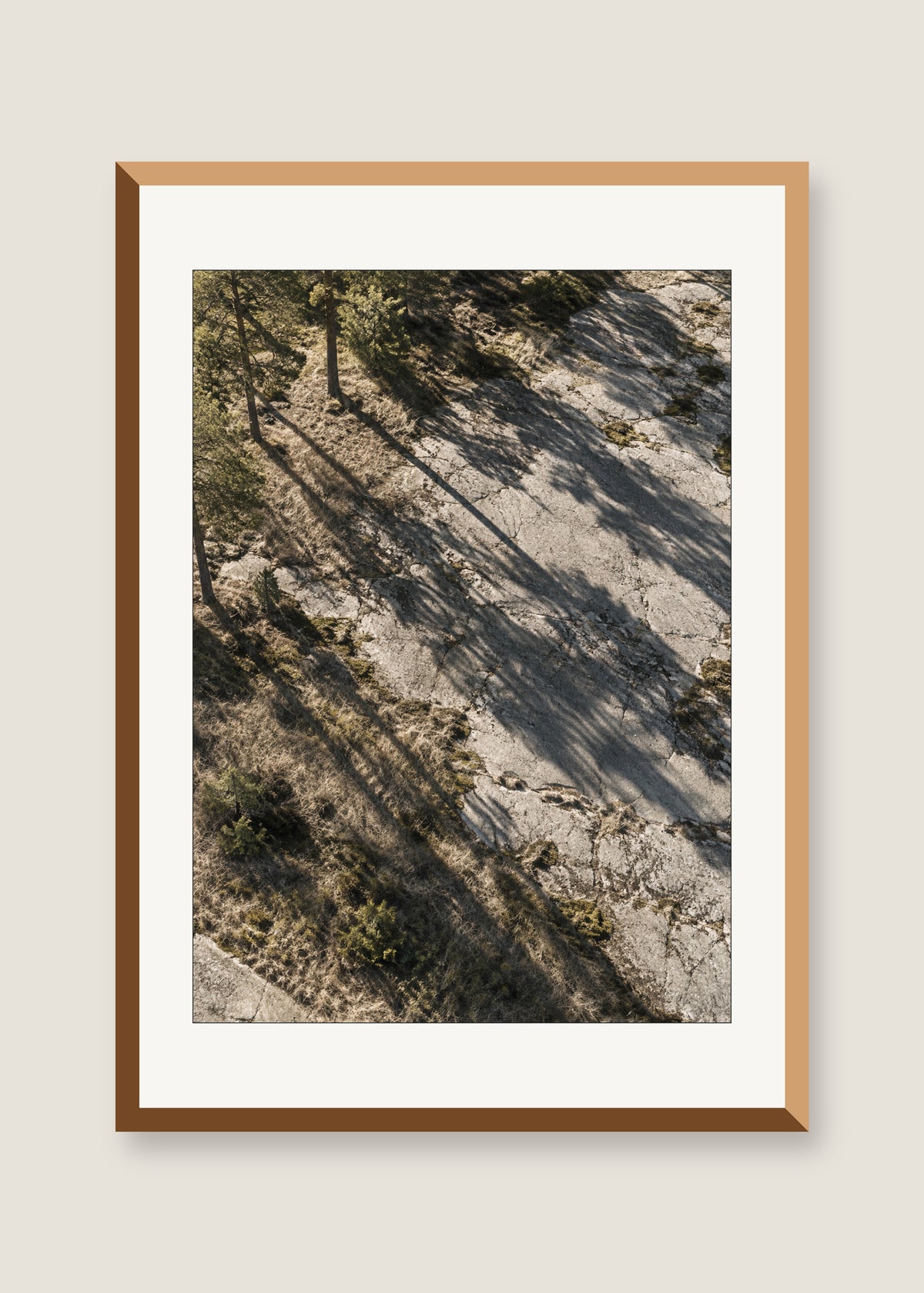 Pine Shadows No. 01, White mat with natural oak frame