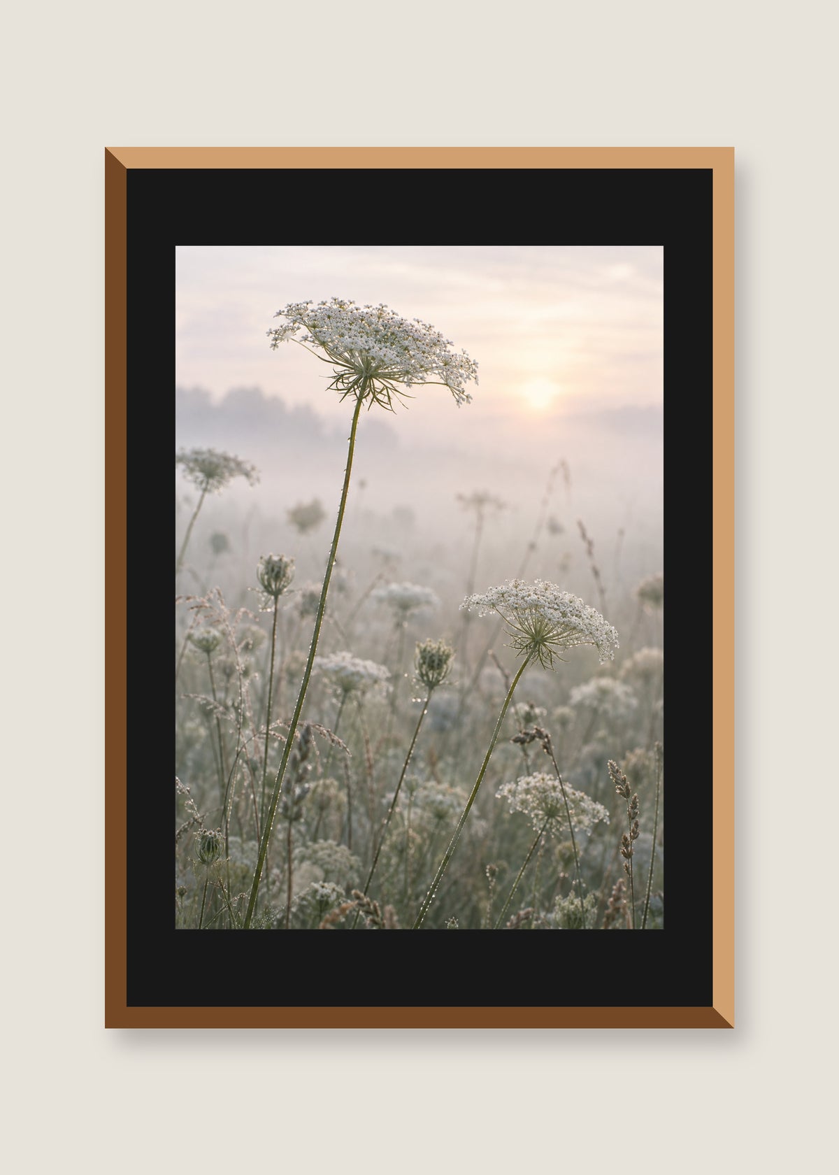 Queen Anne's Lace, Black mat with natural oak frame
