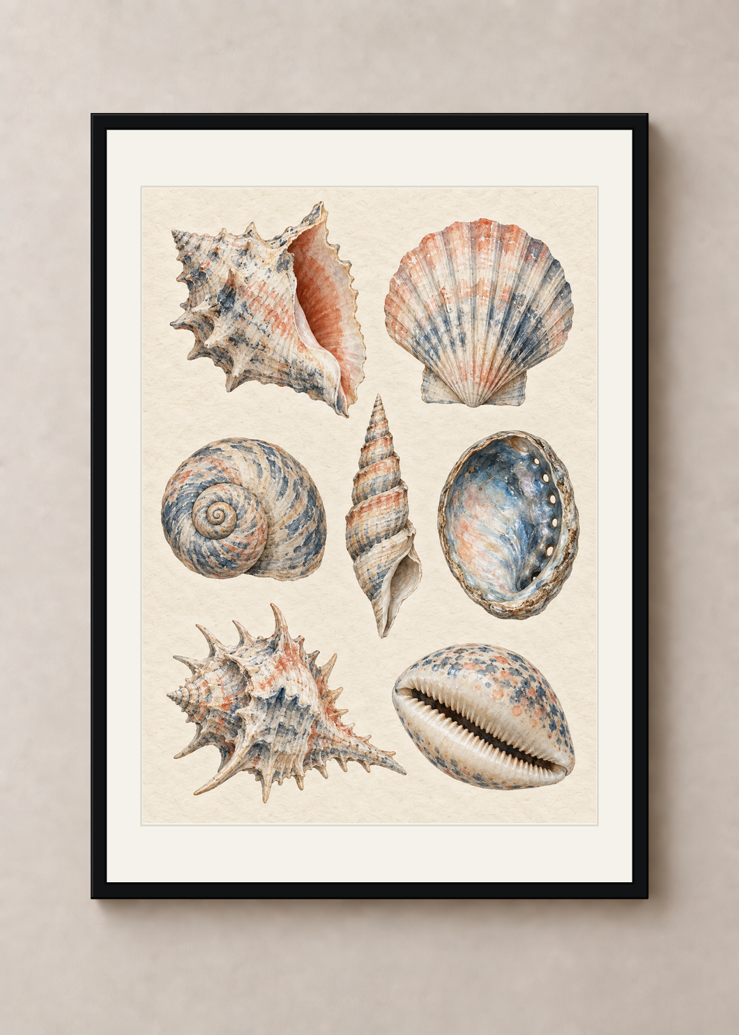 Shell Study in Indigo, black Classic frame with Snow White mount, shown at 50 x 70 cm