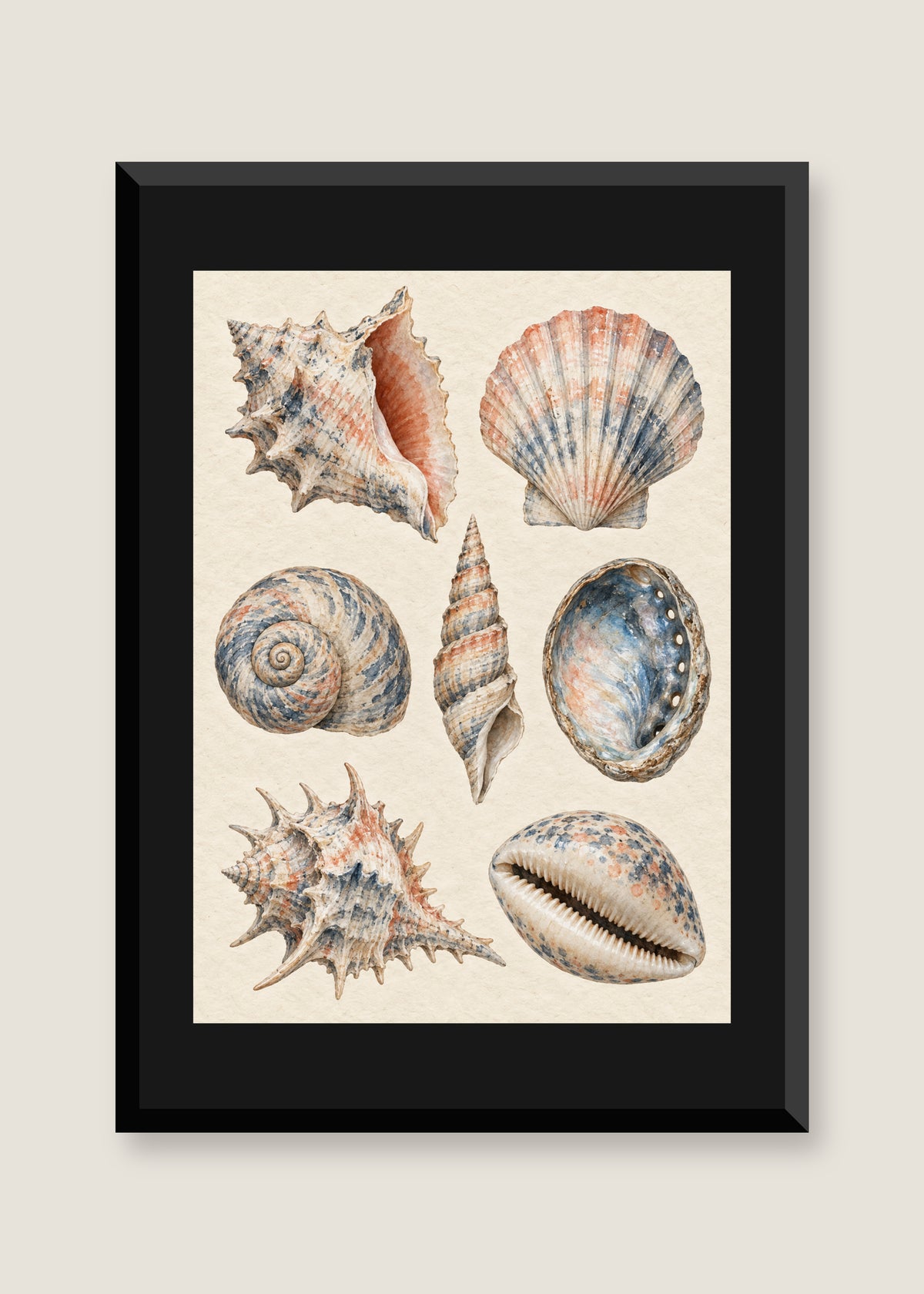 Shell Study in Indigo, Black mat with black frame