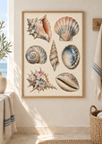Shell Study in Indigo framed at 50 by 70 cm in a styled interior