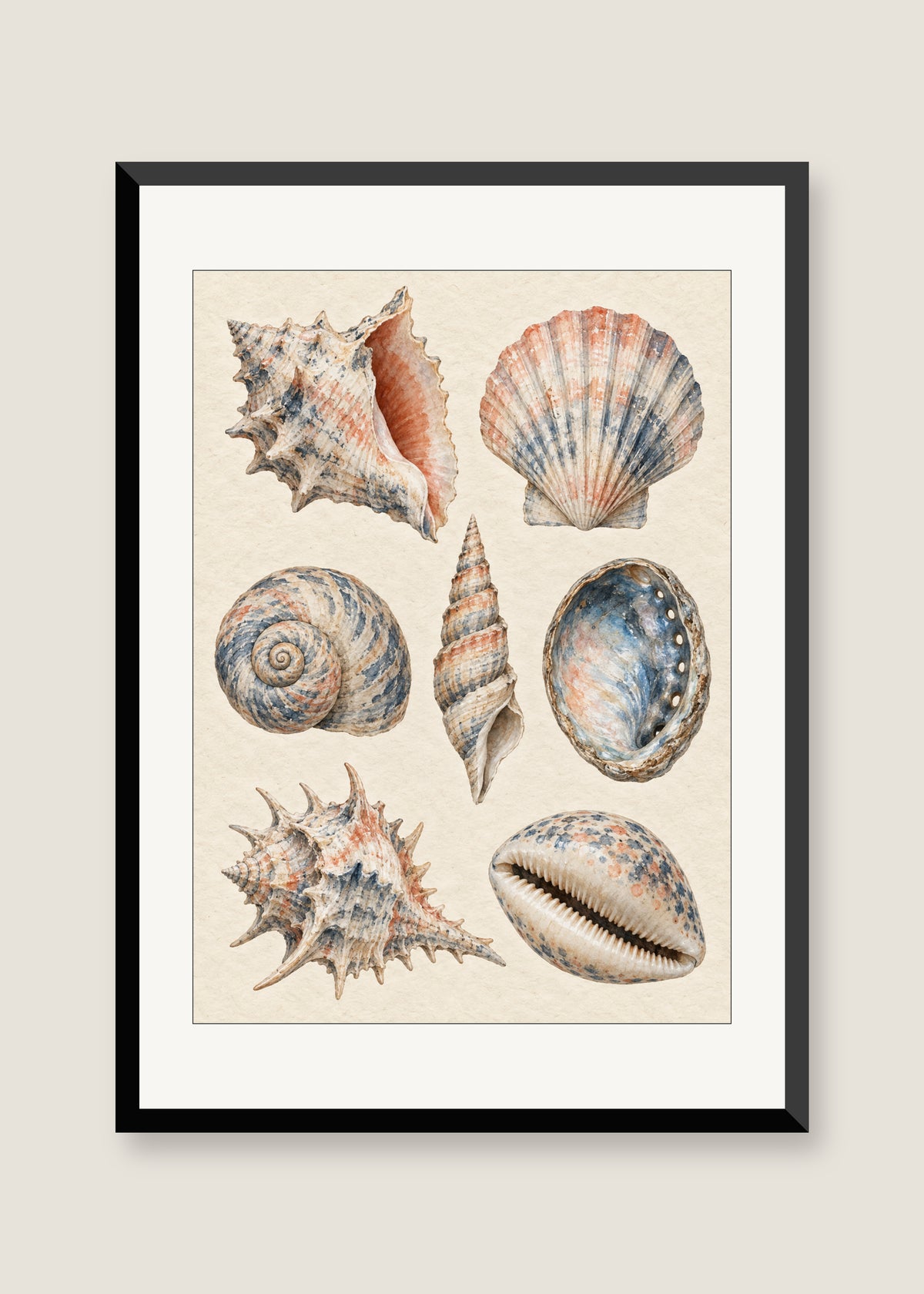 Shell Study in Indigo, White mat with black frame