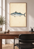 Silver Mackerel Study framed art print in a modern interior