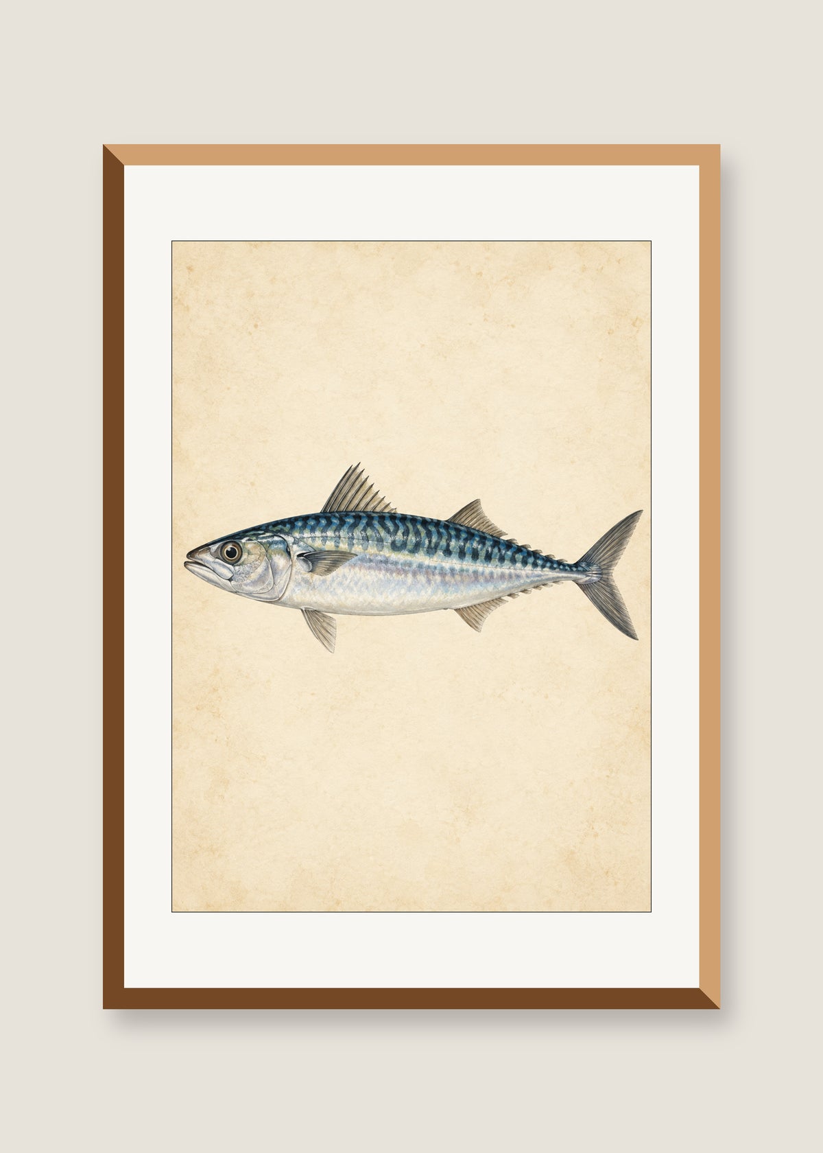 Silver Mackerel Study, White mat with natural oak frame
