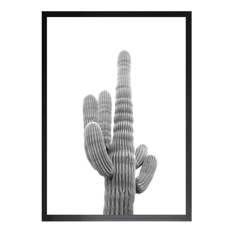 Tall Cactus