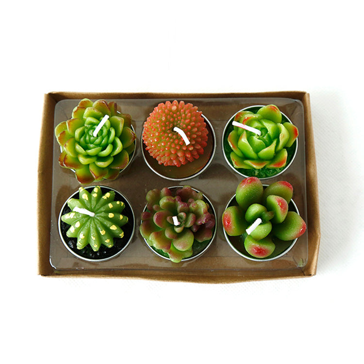Cactus candle set