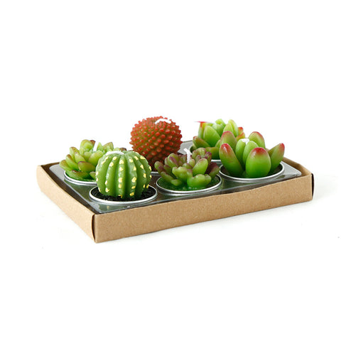 Cactus candle set