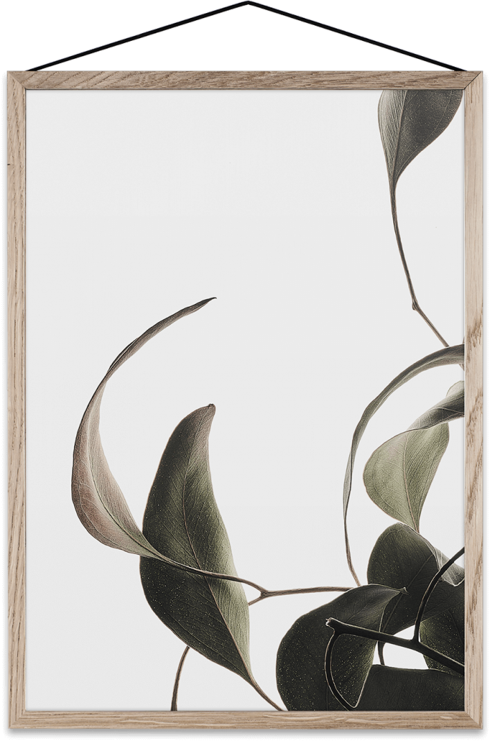 Floating Leaves Transparent Print 08