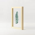 Clear transparent print