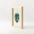 Floating Leaf Print with Oak Frame - 01