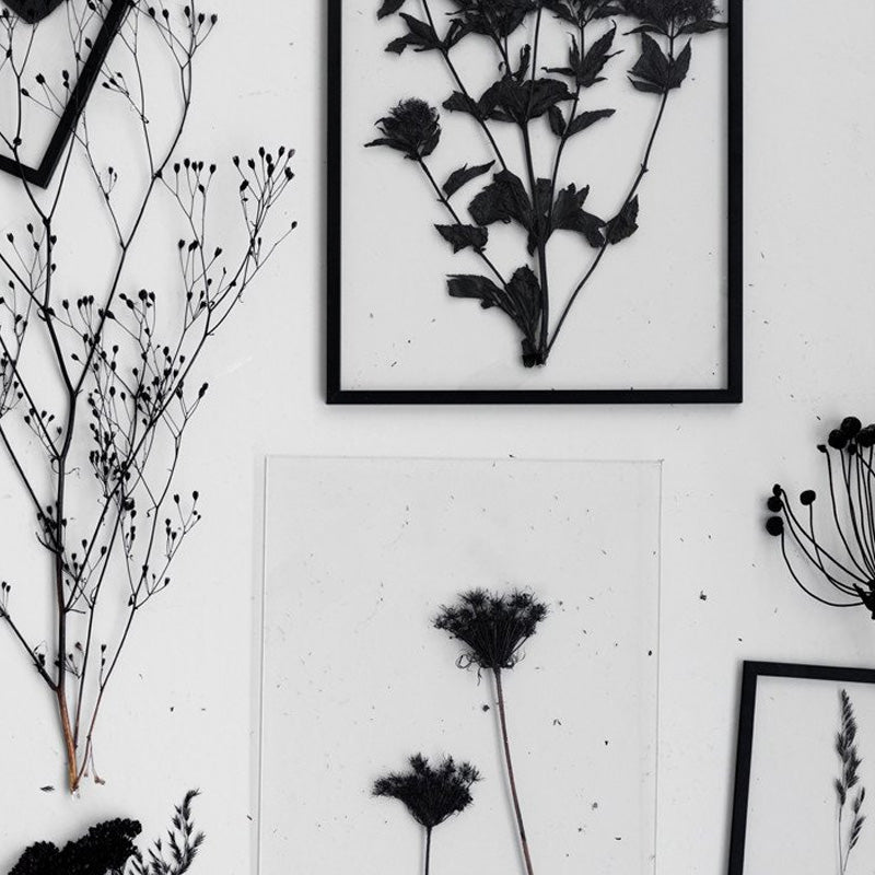 Frames Black