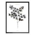COTTON PLANT PRINT