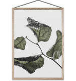 Floating Leaves Transparent Print 03