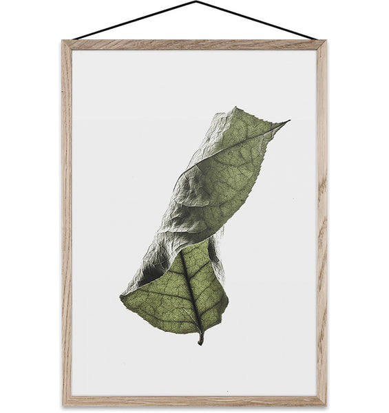 Floating Leaves Transparent Print 04