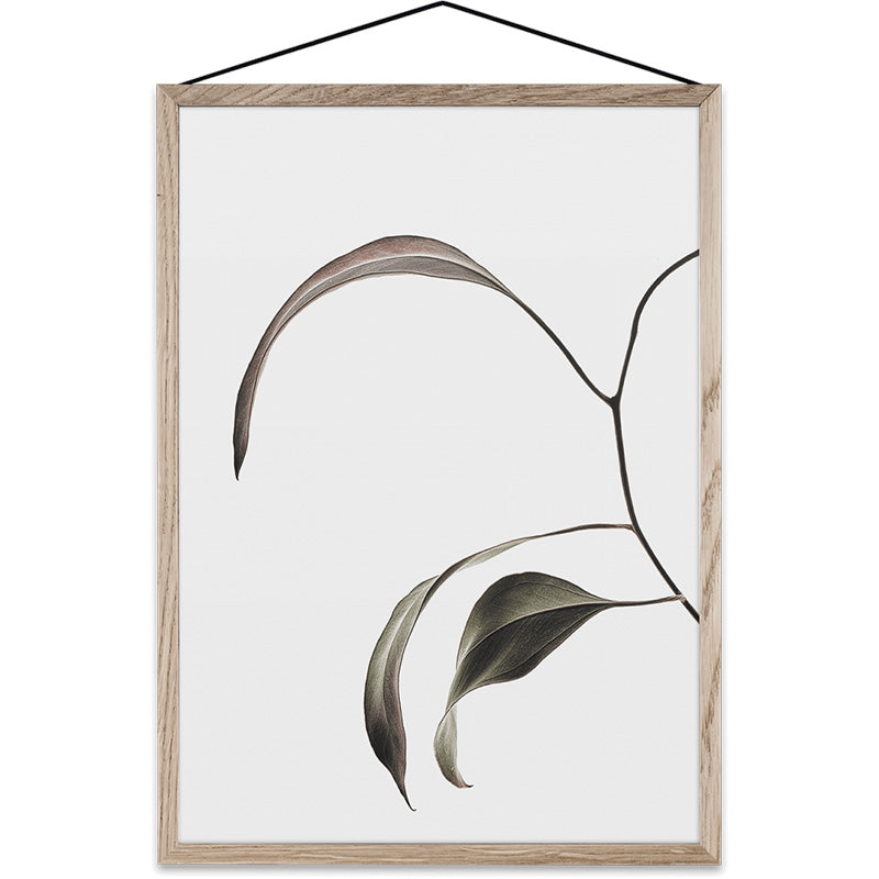 Floating Leaves Transparent Print 07