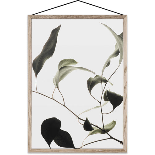 Floating Leaves Transparent Print 09