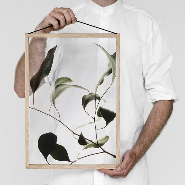 Floating Leaves Transparent Print