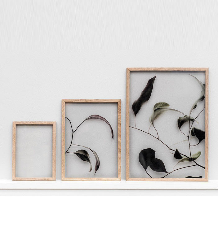 Floating Leaves Transparent Print 04