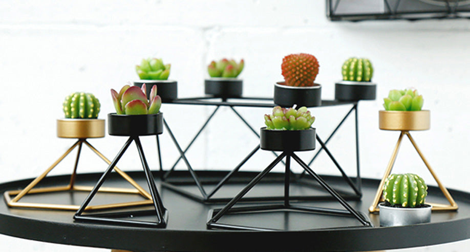 Cactus candle set
