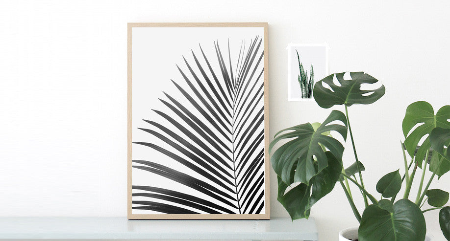 Palm Leafs PRINT
