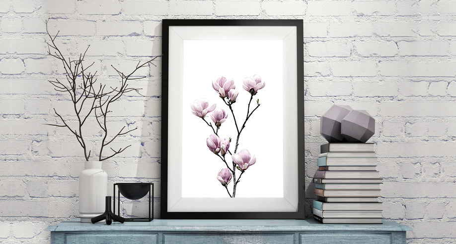 Magnolia Flower