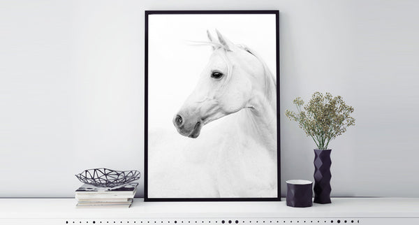 White Horse PRINT