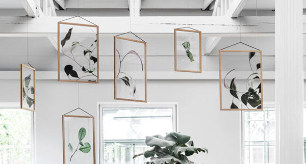 Floating Leaves Transparent Print 09