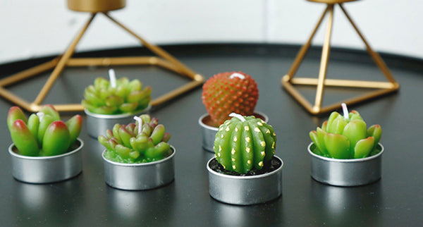 Cactus candle set