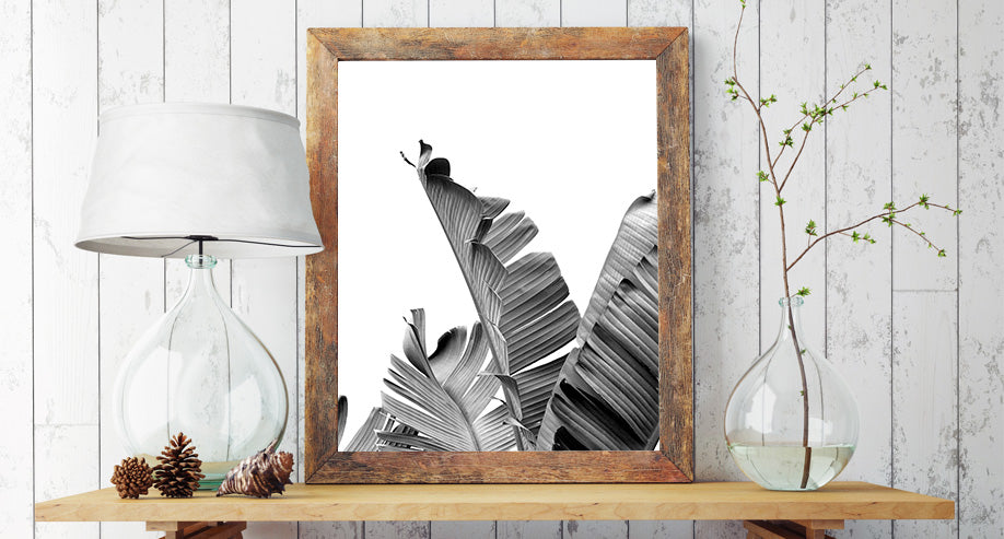 Banana Leaf