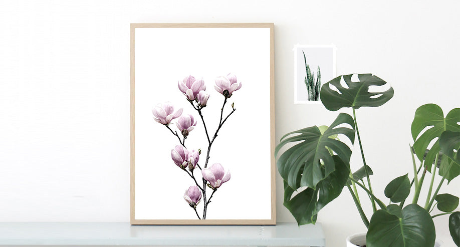 Magnolia Flower